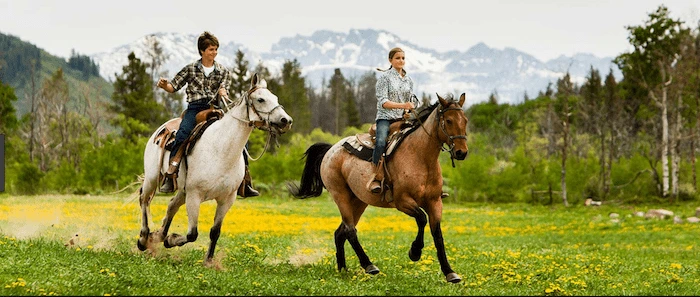 Confident plus-size woman riding Whitnash a horse through a field with a smile on her face.